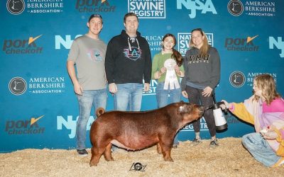 4th Overall Division 1 Duroc Gilt – 2025 NJSA Winter National