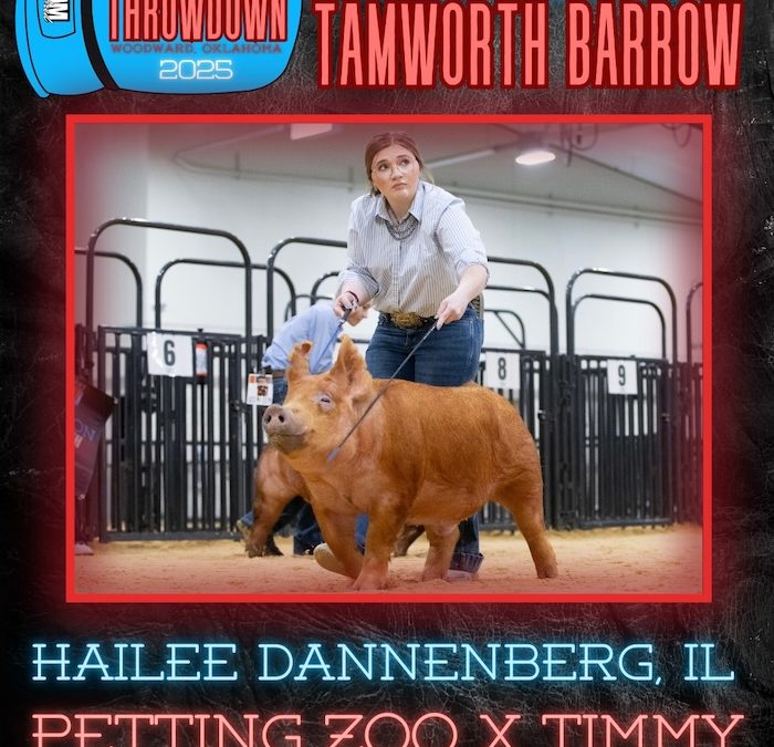 Reserve Champion Tamworth Barrow – 2025 TP Southwest Showdown Regional