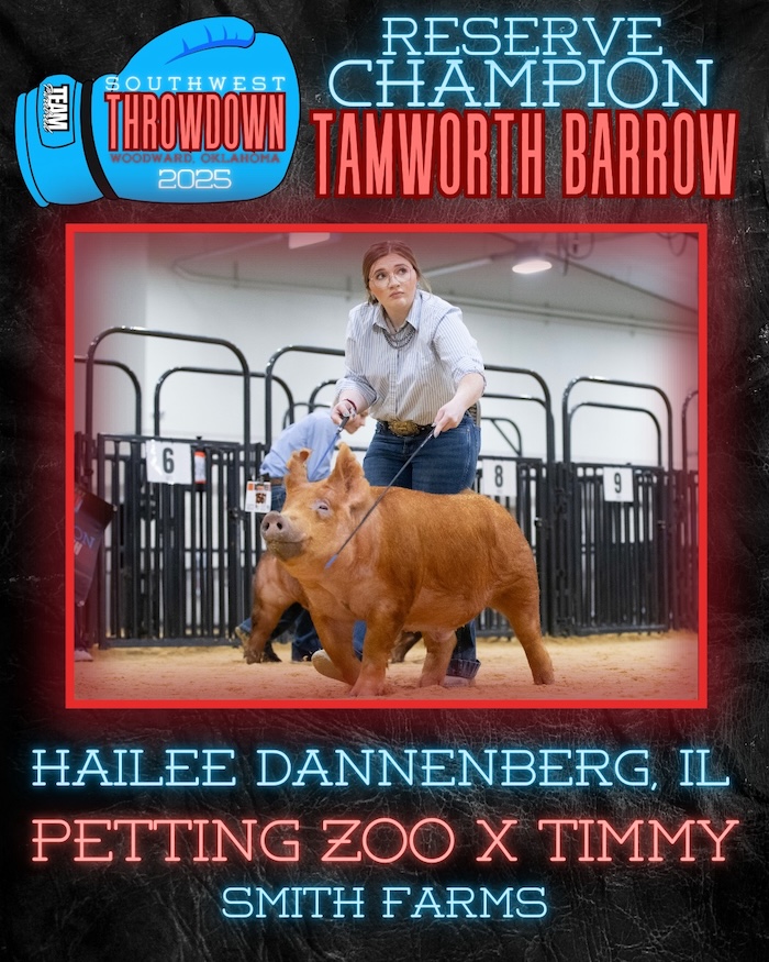 Reserve Champion Tamworth Barrow – 2025 TP Southwest Showdown Regional