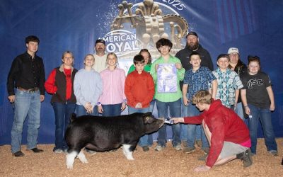 Reserve Champion Poland Gilt – 2025 American Royal Spring Show