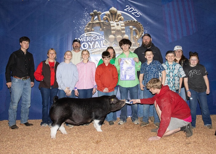 Reserve Champion Poland Gilt – 2025 American Royal Spring Show