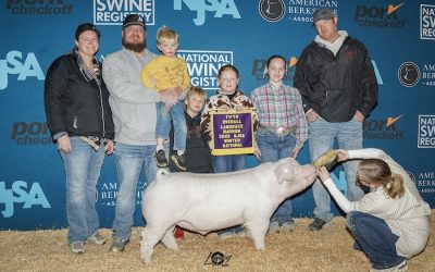 5th Overall Landrace Barrow – 2025 NJSA Winter National