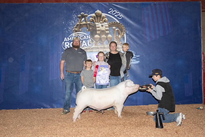 Reserve Champion AOB Barrow – 2025 American Royal Spring Show