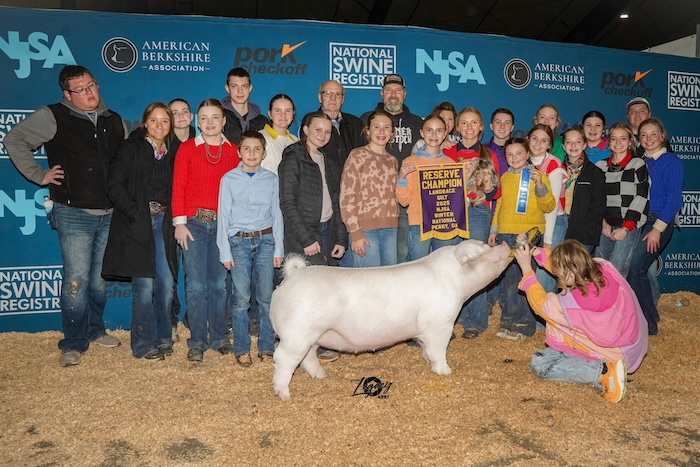 Reserve Champion Landrace Gilt – 2025 NJSA Winter National