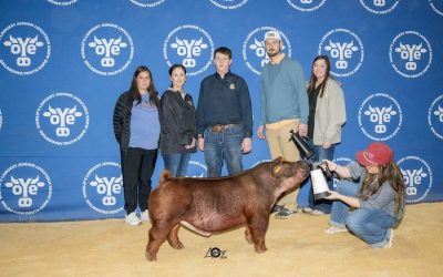 3rd Overall Duroc Barrow – 2025 OYE