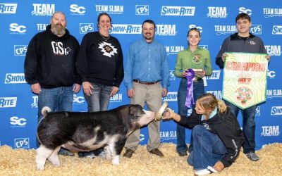 Reserve Overall TP Gilt & Champion Poland  – 2025 TP Sweet Peach Regional