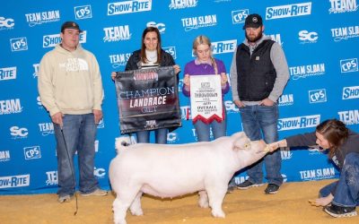 4th Overall NJSA Gilt & Champion Landrace – 2025 TP Southwest Showdown Regional