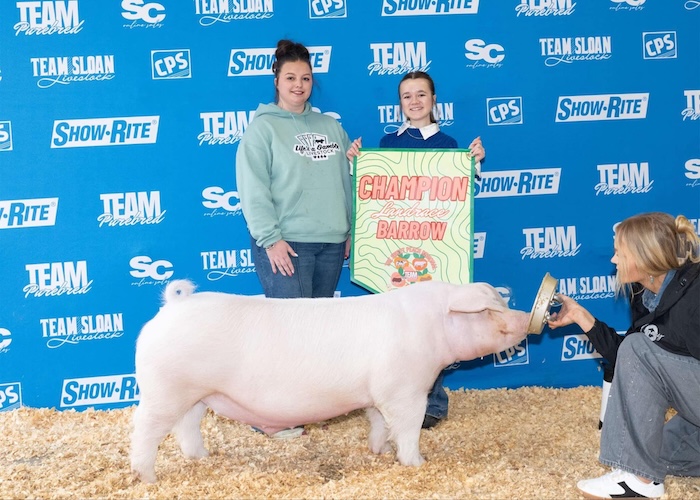 4th Overall NJSA Barrow & Champion Landrace – 2025 TP Sweet Peach Regional