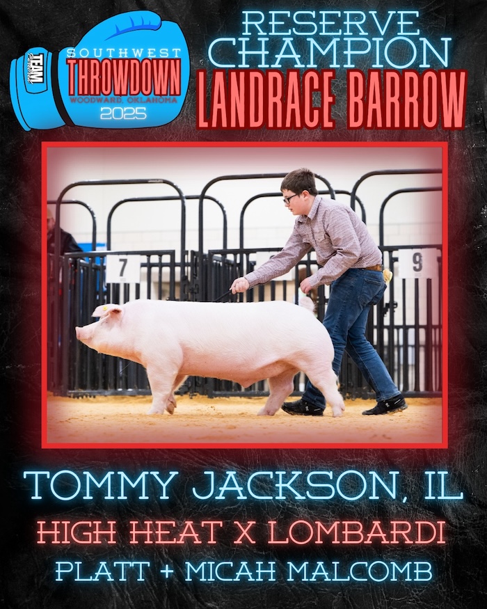 Reserve Champion Landrace Barrow – 2025 TP Southwest Showdown Regional