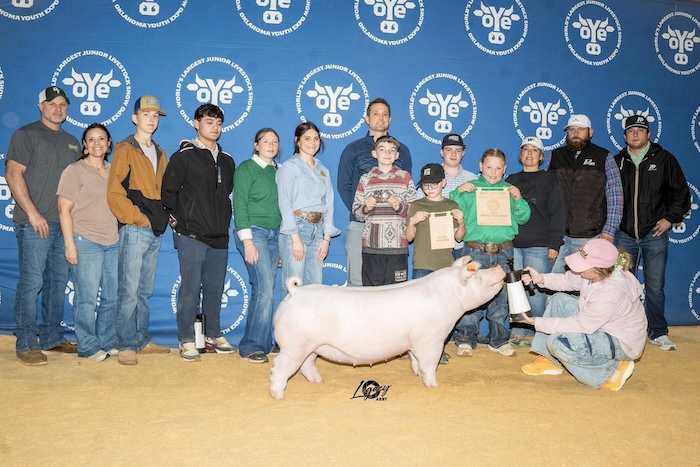 Champion Chester Gilt – 2025 OYE
