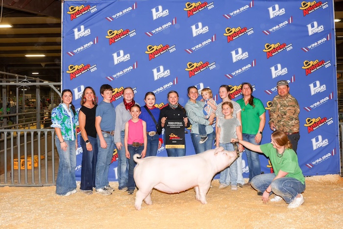 3rd Overall Chester Gilt – 2025 San Antonio Stock Show