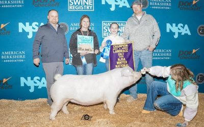 Champion Bred & Owned Landrace Gilt – 2025 NJSA Winter National