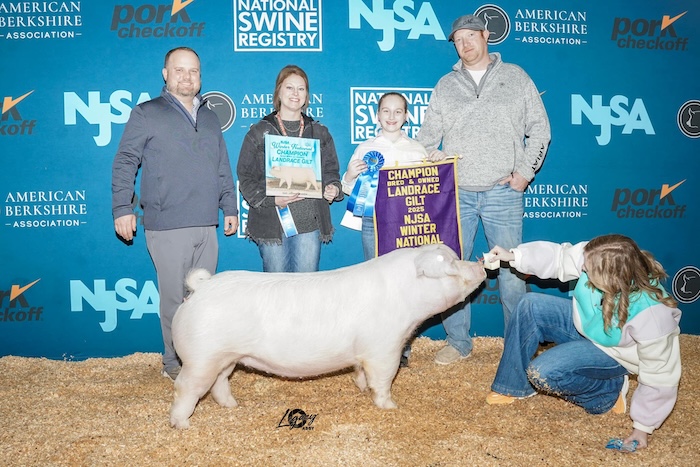Champion Bred & Owned Landrace Gilt – 2025 NJSA Winter National
