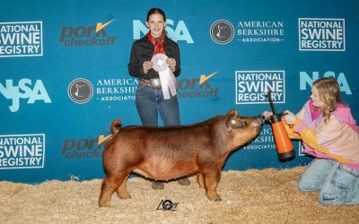 Reserve Champion Division 1 Duroc Gilt- 2025 NJSA Winter National