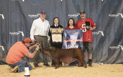 Reserve Champion Purebred Barrow – 2025 Florida State Fair