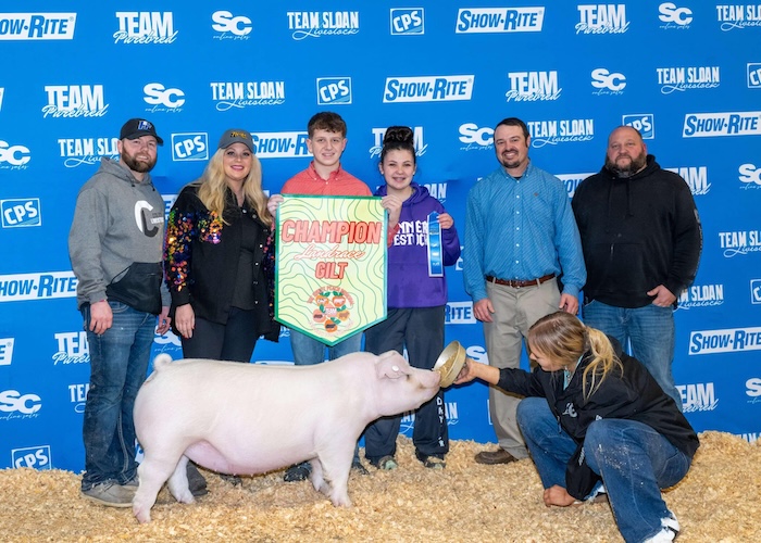 Champion Landrace Gilt – 2025 TP Sweet Peach Regional