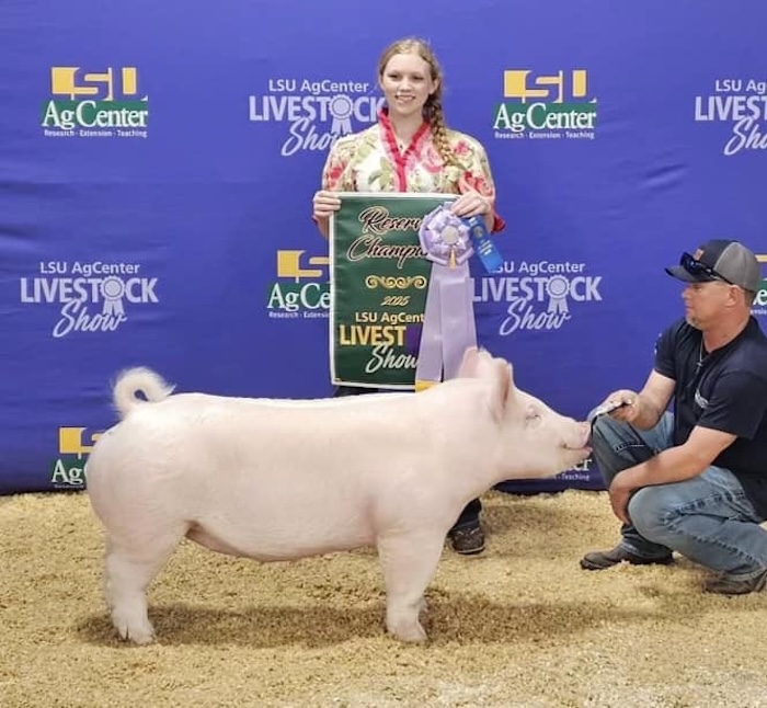 Reserve Champion Yorkshire Gilt – 2025 LSU State Livestock Show