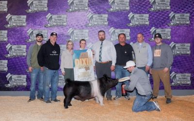 3rd Overall Barrow & Champion Hamp – 2025 Dixie National