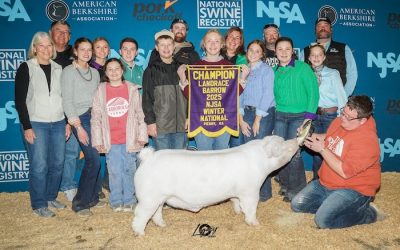 Champion Landrace Barrow – 2025 NJSA Winter National