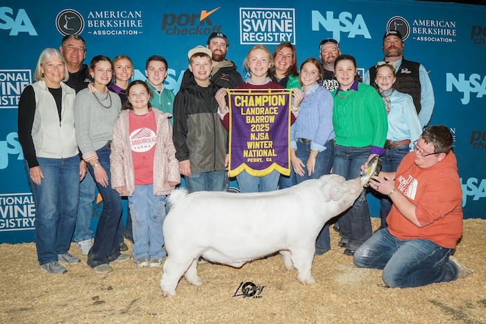 Champion Landrace Barrow – 2025 NJSA Winter National