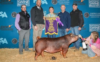 Champion Duroc Gilt – 2025 NJSA Winter National