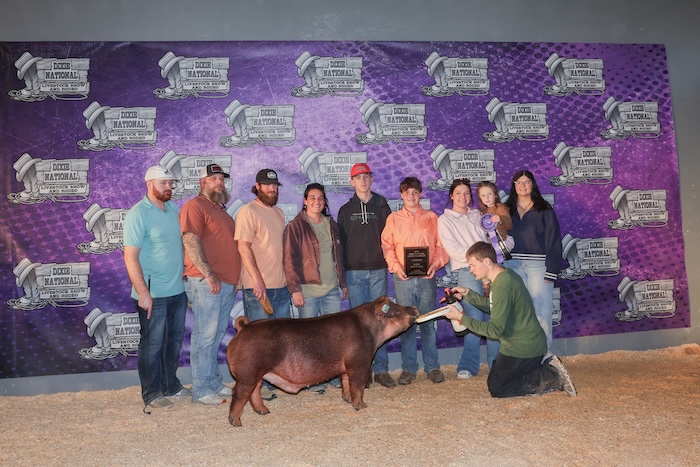 Champion Duroc Barrow – 2025 Dixie National