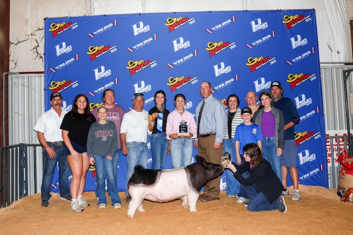 Champion Middleweight Crossbred Gilt – 2025 San Antonio Stock Show