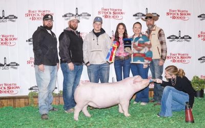 Champion Landrace Gilt – 2025 Fort Worth Stock Show