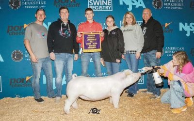 4th Overall Landrace Gilt – 2025 NJSA Winter National