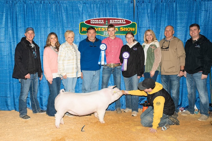 Champion AOB Gilt – 2025 Georgia National Fair