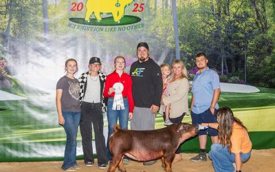 3rd Overall Division 1 Duroc Gilt – 2025 NJSS