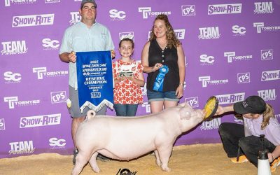 Reserve Champion Landrace Gilt – 2025 Team Purebred Jr National