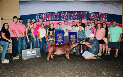 Grand Overall Gilt & Champion Duroc – 2025 Ohio State Fair