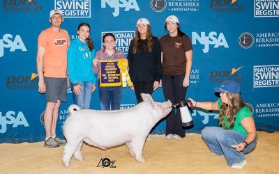 5th Overall Yorkshire Barrow – 2025 The Exposition