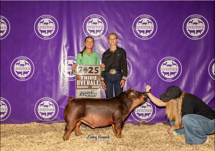 3rd Overall Duroc Market Hog – 2025 Michigan Livestock Expo