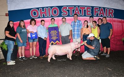 Champion Landrace Gilt – 2025 Ohio State Fair