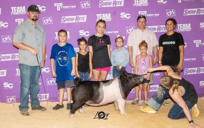 4th Overall Dark Crossbred Gilt – 2025 Team Purebred Jr National