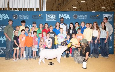 5th Overall Bred & Owned Yorkshire Gilt – 2025 The Exposition