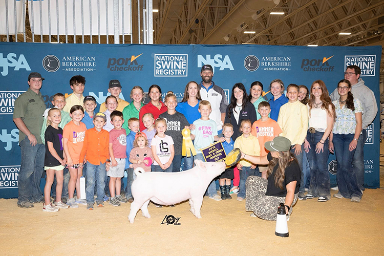 5th Overall Bred & Owned Yorkshire Gilt – 2025 The Exposition