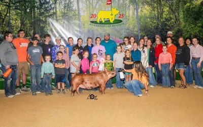 4th Overall Tamworth Gilt – 2025 NJSS