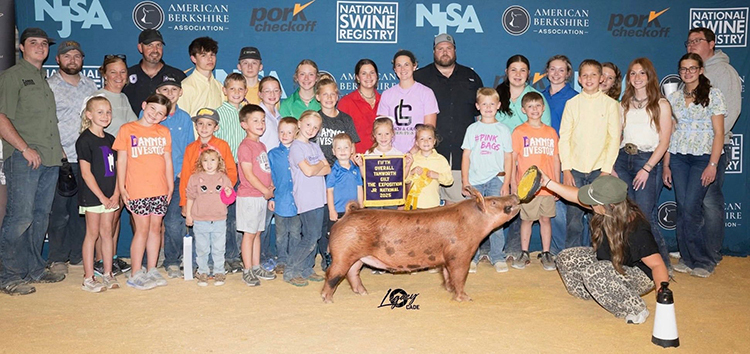 5th Overall Tamworth Gilt – 2025 The Exposition