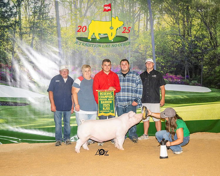 Reserve Champion Chester Barrow – 2025 NJSS