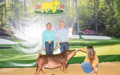3rd Overall Division 3 Duroc Gilt – 2025 NJSS