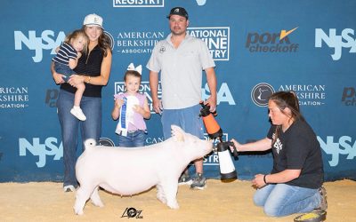 3rd Overall Division 1 Yorkshire Gilt – 2025 The Exposition
