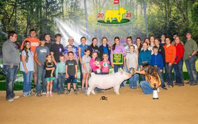 4th Overall Yorkshire Gilt – 2025 NJSS