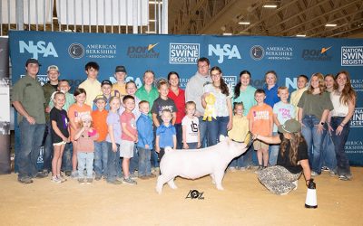 5th Overall Division 1 Yorkshire Gilt – 2025 The Exposition