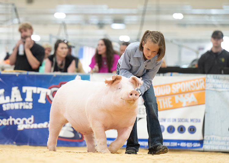 5th Overall Landrace Gilt – 2025 The Exposition