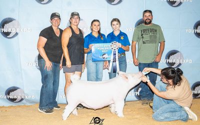 8th Overall Supreme Purebred Gilt & Reserve Yorkshire – 2025 California Youth Expo