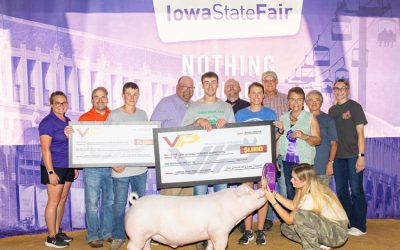 5th Overall 4-H Purebred Barrow & Champion Landrace – 2025 Iowa State Fair