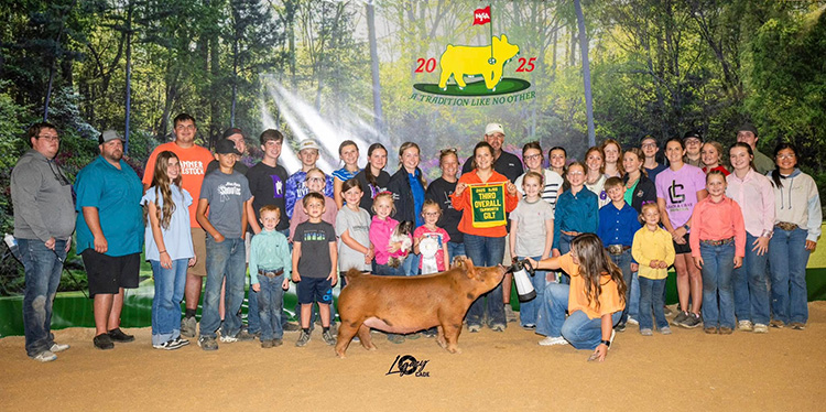 3rd Overall Tamworth Gilt – 2025 NJSS